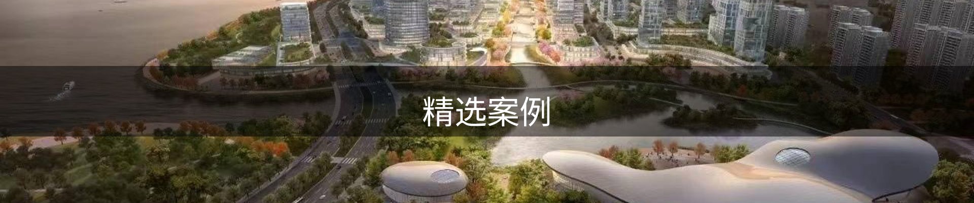 精选案例
